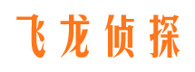 黄龙侦探公司